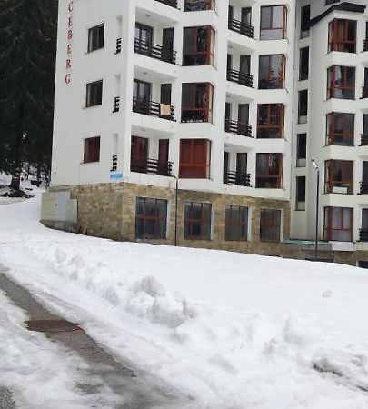 Appartamento Forest Place Pamporovo Esterno foto