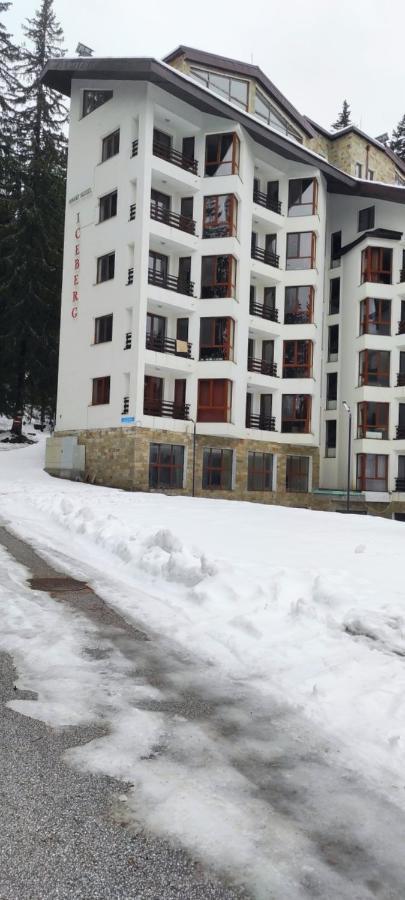 Appartamento Forest Place Pamporovo Esterno foto